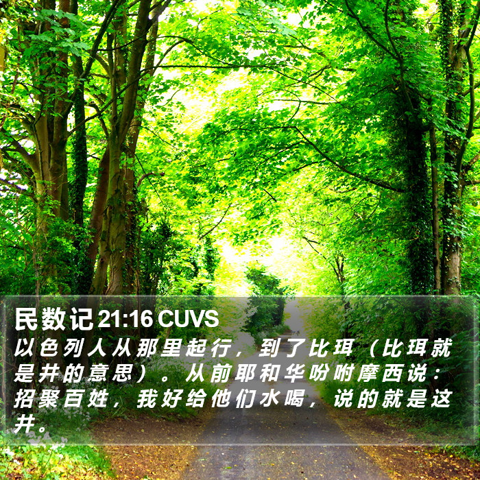 民 数 记 21:16 CUVS Bible Study