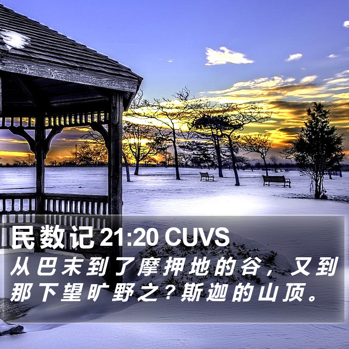 民 数 记 21:20 CUVS Bible Study