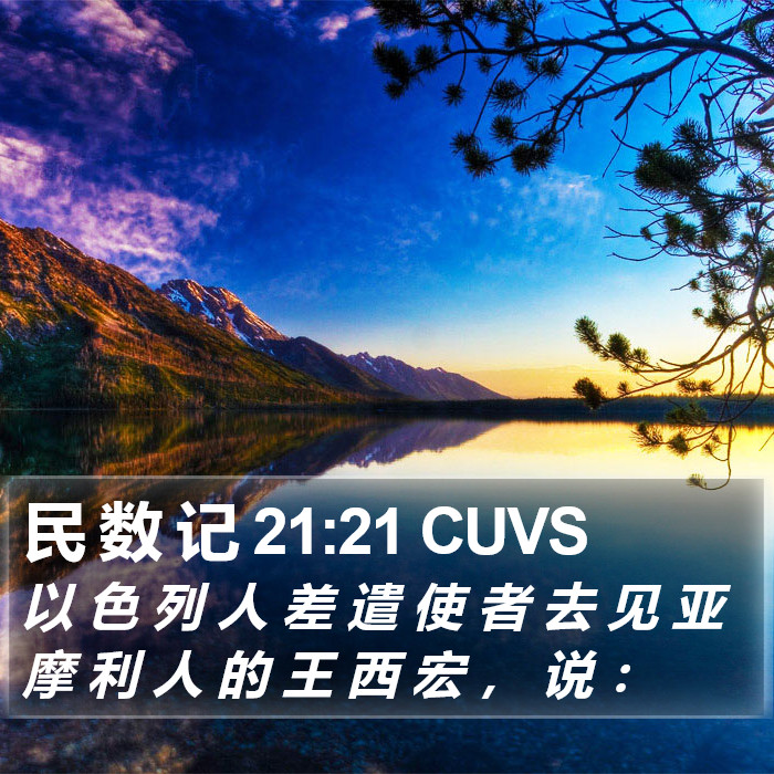 民 数 记 21:21 CUVS Bible Study