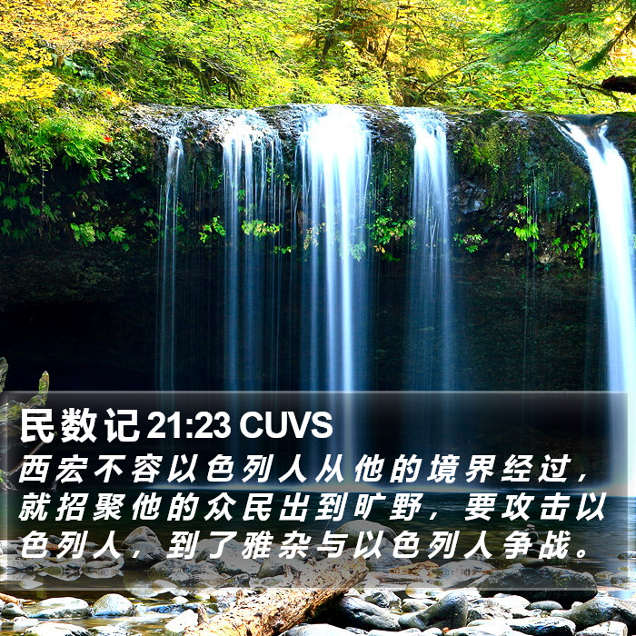 民 数 记 21:23 CUVS Bible Study