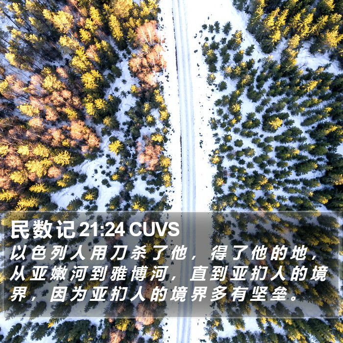 民 数 记 21:24 CUVS Bible Study