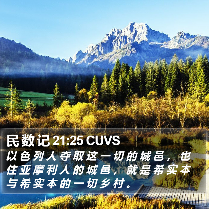 民 数 记 21:25 CUVS Bible Study