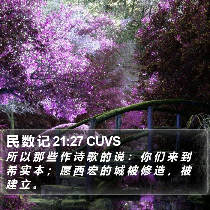 民 数 记 21:27 CUVS Bible Study