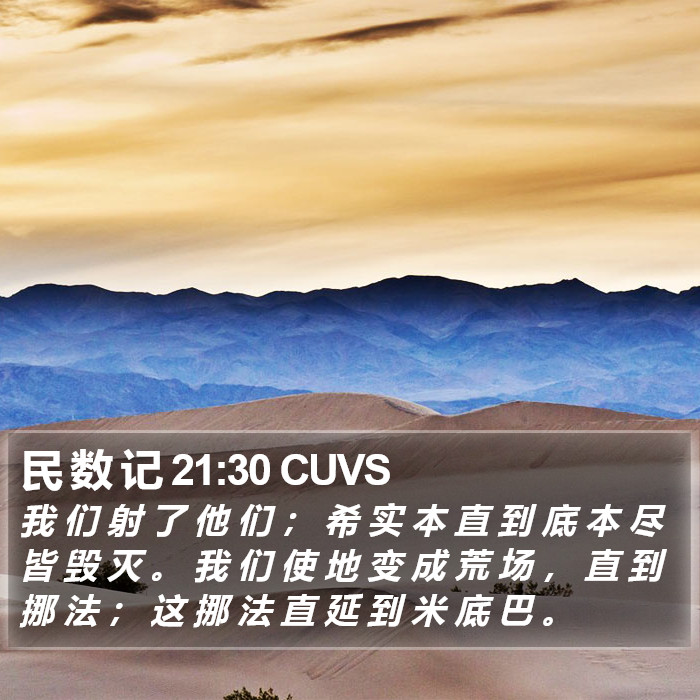 民 数 记 21:30 CUVS Bible Study