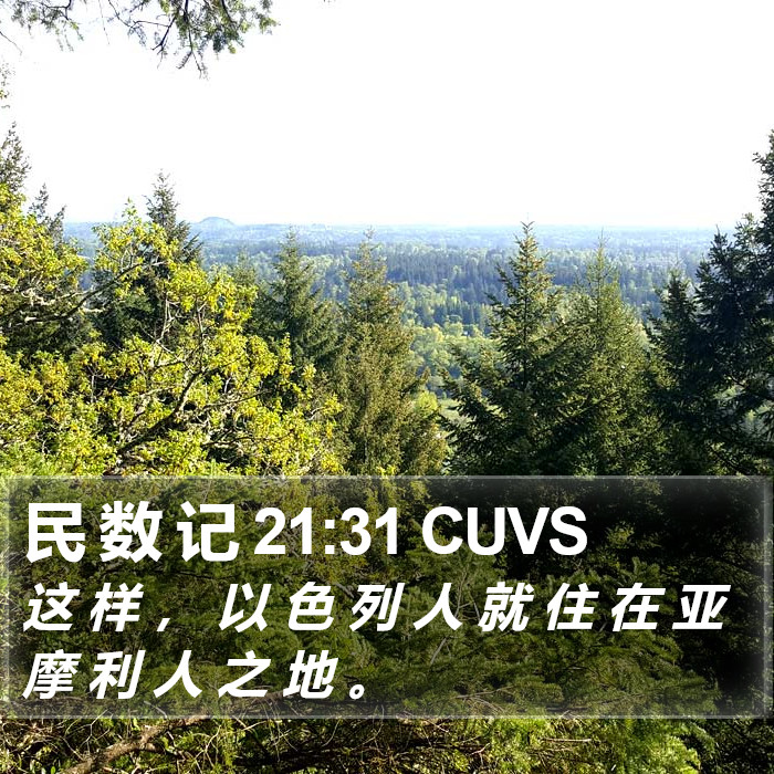 民 数 记 21:31 CUVS Bible Study