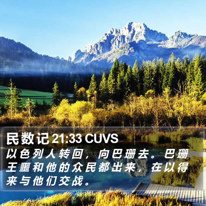 民 数 记 21:33 CUVS Bible Study