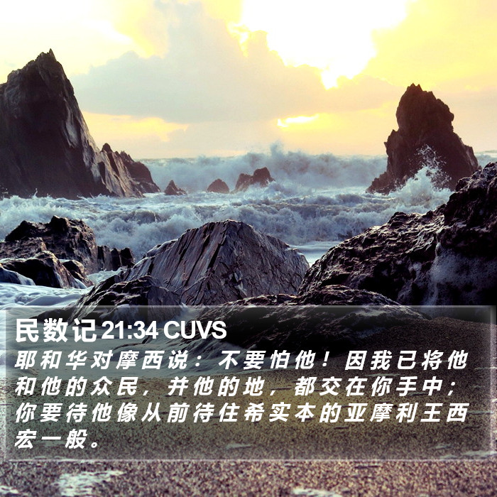 民 数 记 21:34 CUVS Bible Study