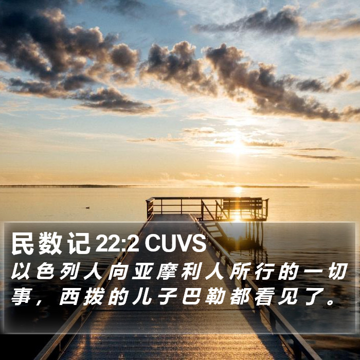民 数 记 22:2 CUVS Bible Study
