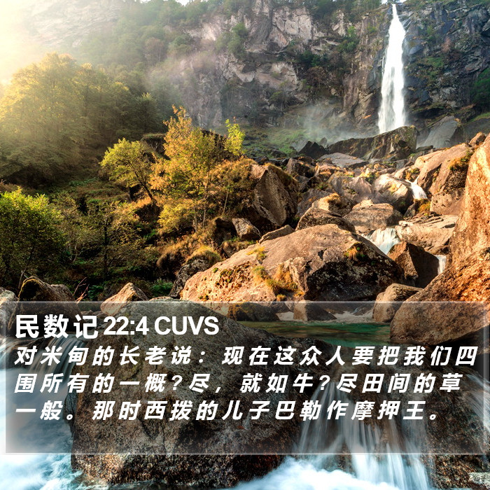 民 数 记 22:4 CUVS Bible Study