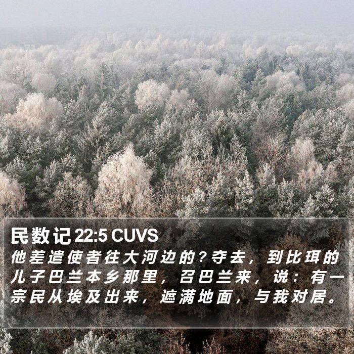 民 数 记 22:5 CUVS Bible Study