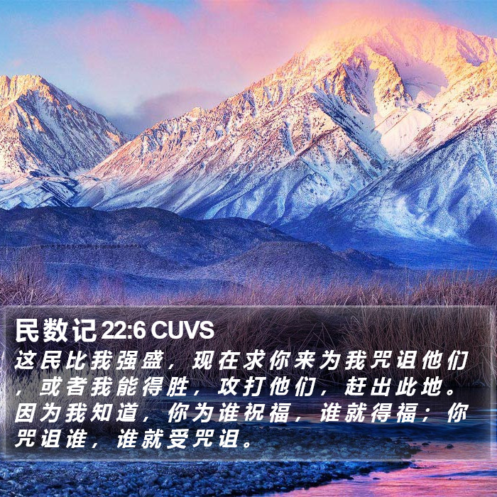 民 数 记 22:6 CUVS Bible Study