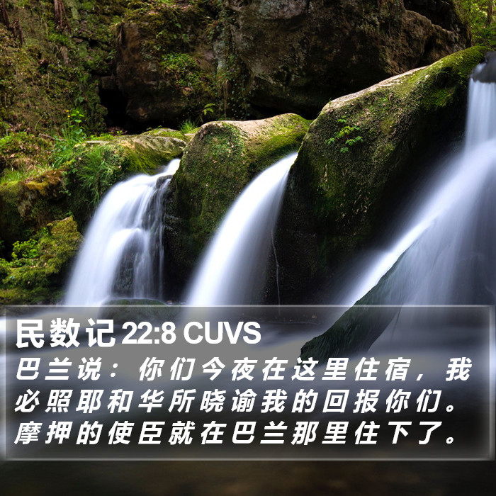 民 数 记 22:8 CUVS Bible Study