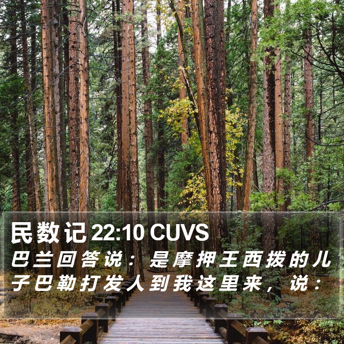 民 数 记 22:10 CUVS Bible Study