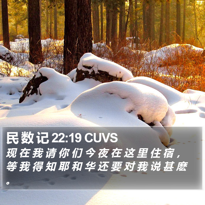民 数 记 22:19 CUVS Bible Study
