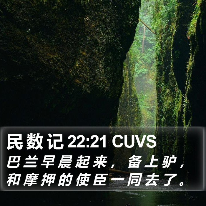 民 数 记 22:21 CUVS Bible Study
