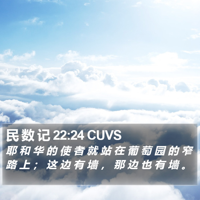 民 数 记 22:24 CUVS Bible Study