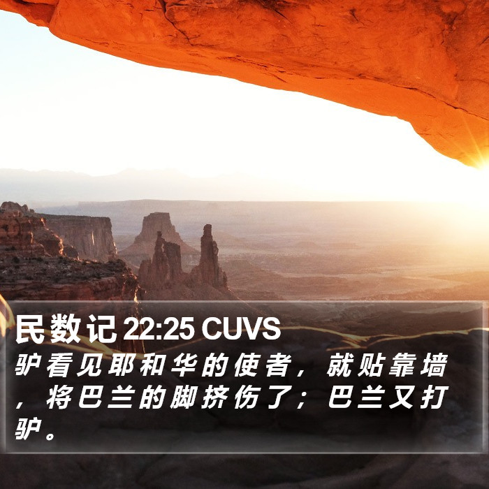 民 数 记 22:25 CUVS Bible Study