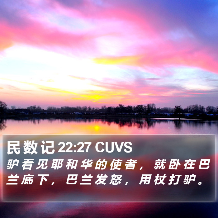 民 数 记 22:27 CUVS Bible Study