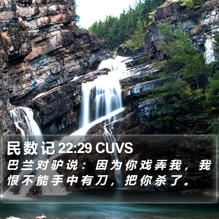 民 数 记 22:29 CUVS Bible Study