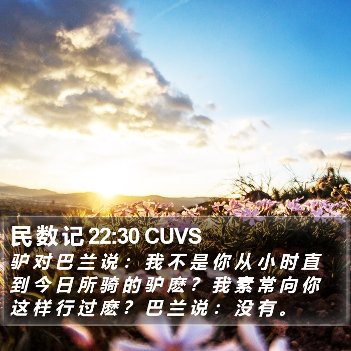 民 数 记 22:30 CUVS Bible Study