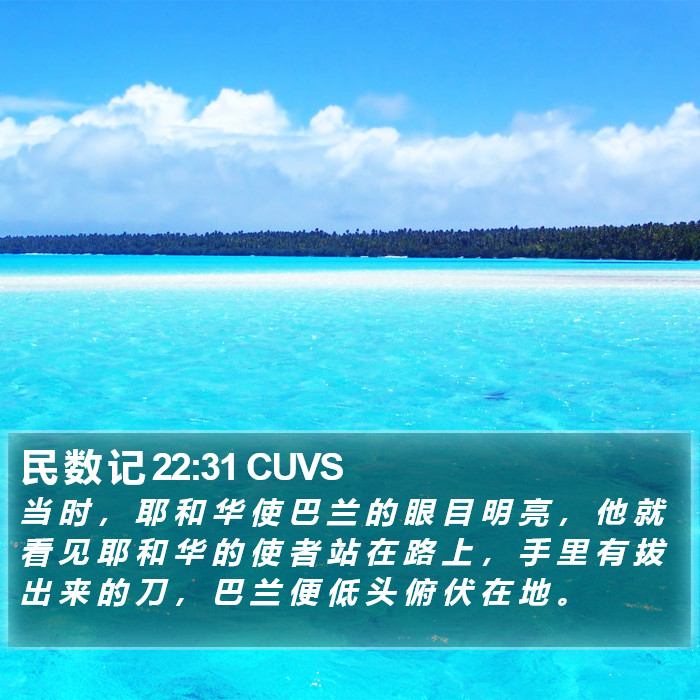 民 数 记 22:31 CUVS Bible Study