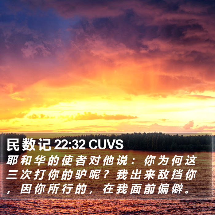 民 数 记 22:32 CUVS Bible Study