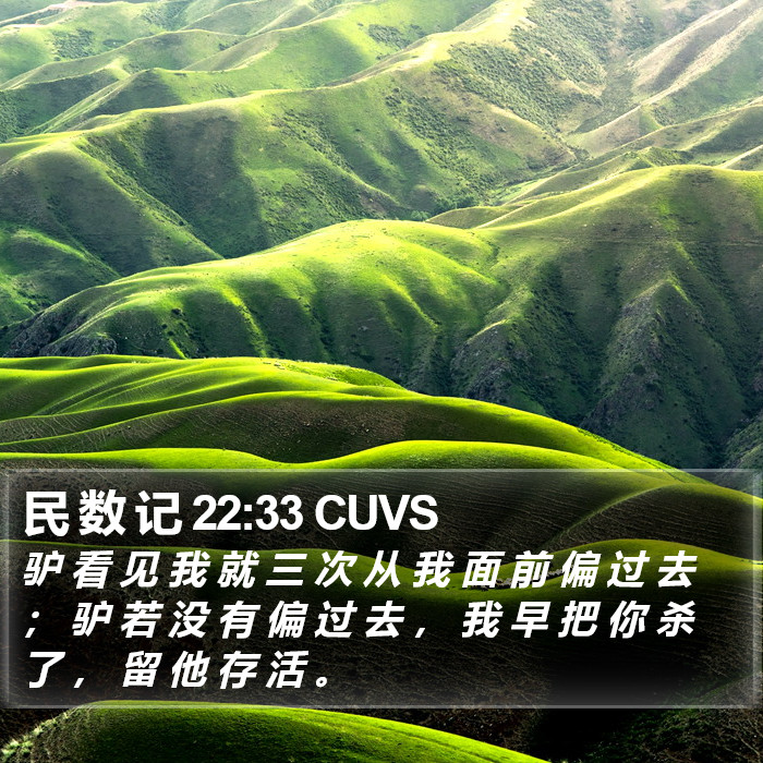 民 数 记 22:33 CUVS Bible Study