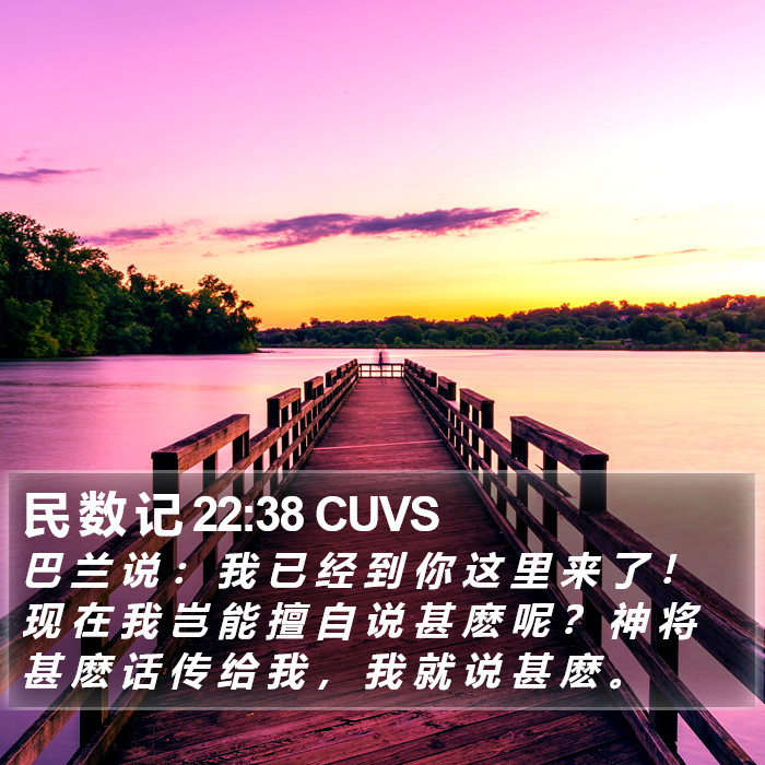 民 数 记 22:38 CUVS Bible Study