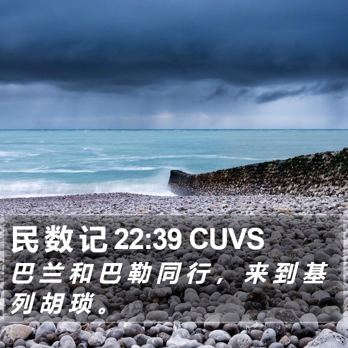 民 数 记 22:39 CUVS Bible Study