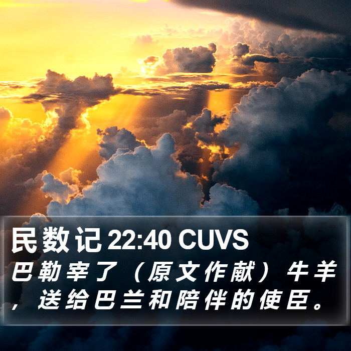 民 数 记 22:40 CUVS Bible Study