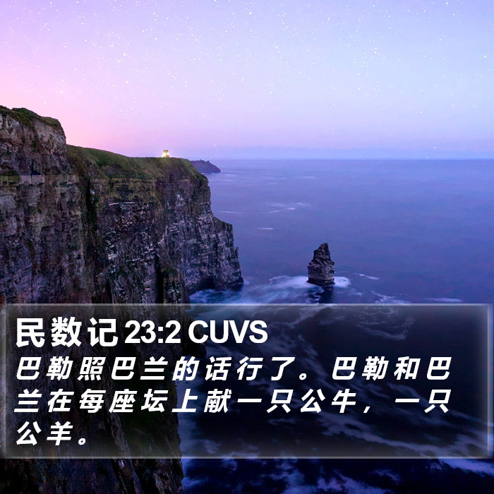 民 数 记 23:2 CUVS Bible Study