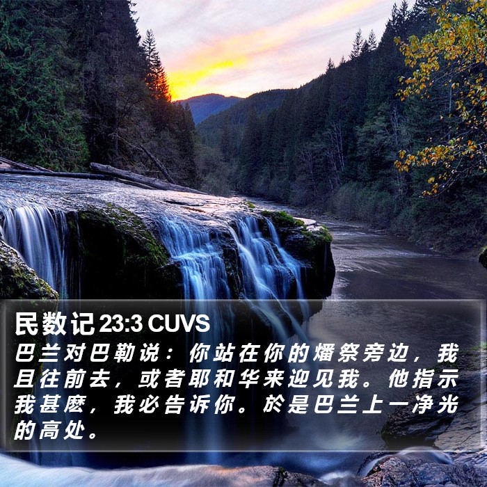 民 数 记 23:3 CUVS Bible Study
