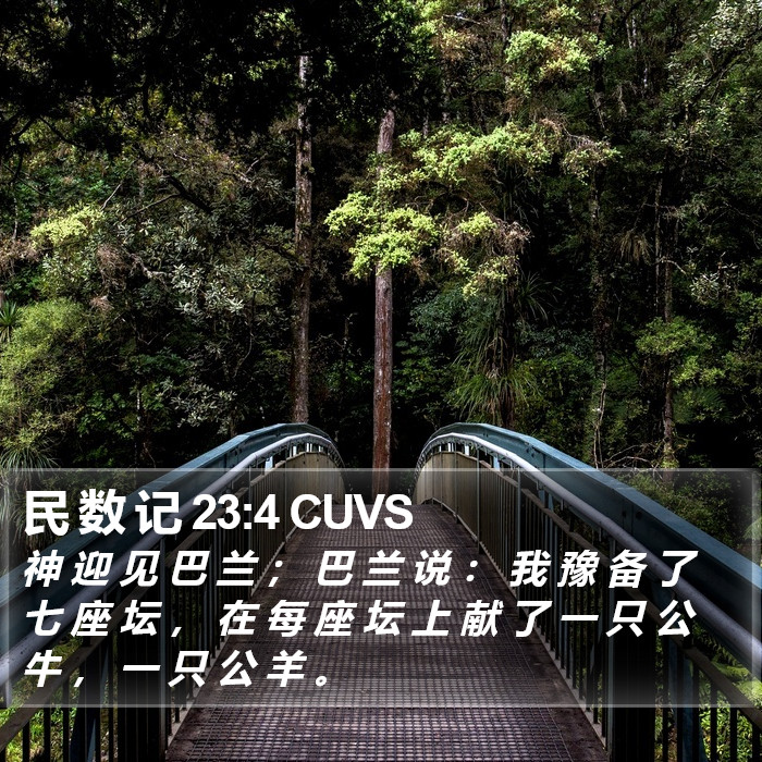 民 数 记 23:4 CUVS Bible Study