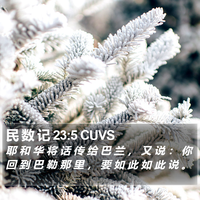 民 数 记 23:5 CUVS Bible Study