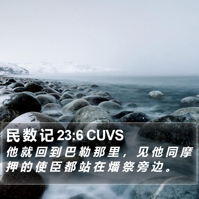 民 数 记 23:6 CUVS Bible Study