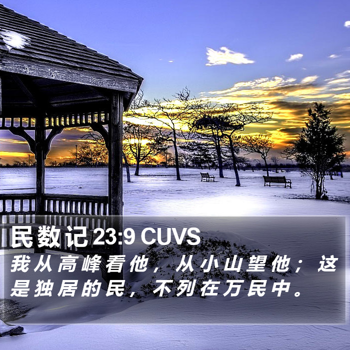 民 数 记 23:9 CUVS Bible Study