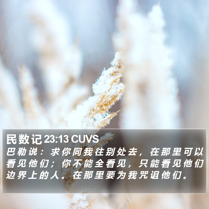 民 数 记 23:13 CUVS Bible Study