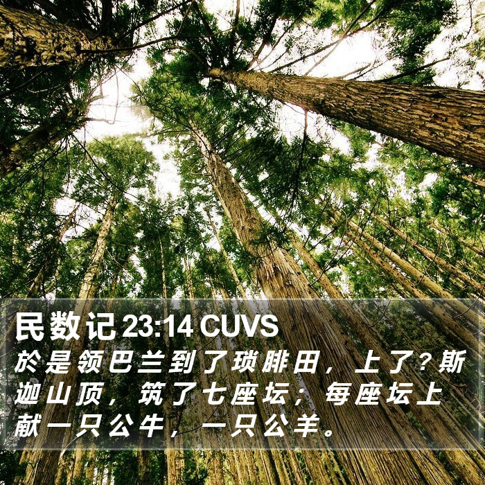 民 数 记 23:14 CUVS Bible Study