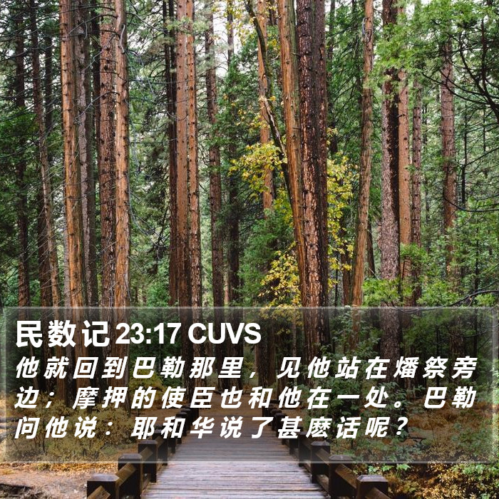 民 数 记 23:17 CUVS Bible Study