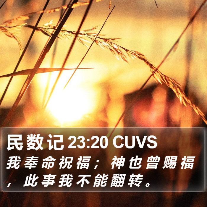 民 数 记 23:20 CUVS Bible Study