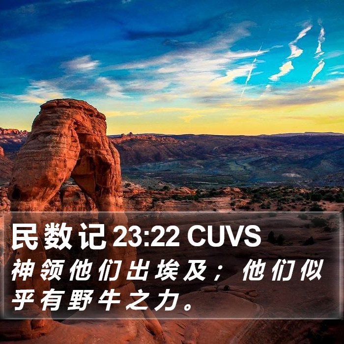 民 数 记 23:22 CUVS Bible Study