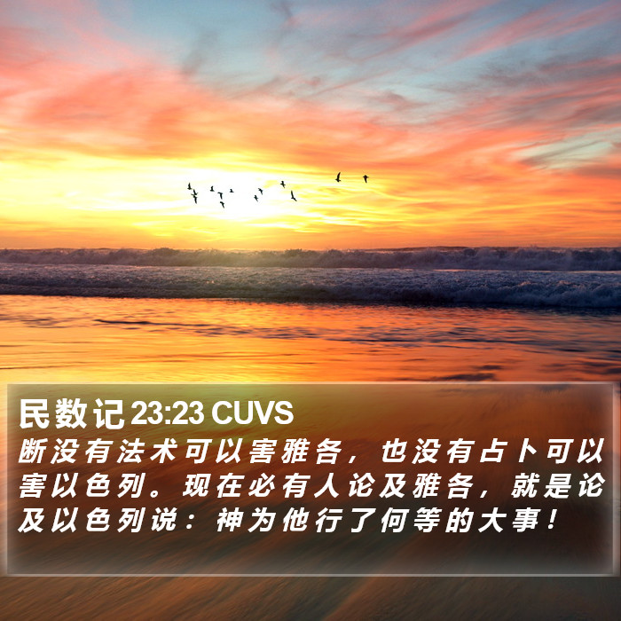 民 数 记 23:23 CUVS Bible Study