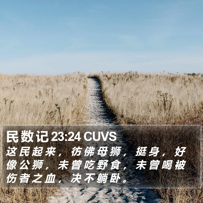 民 数 记 23:24 CUVS Bible Study