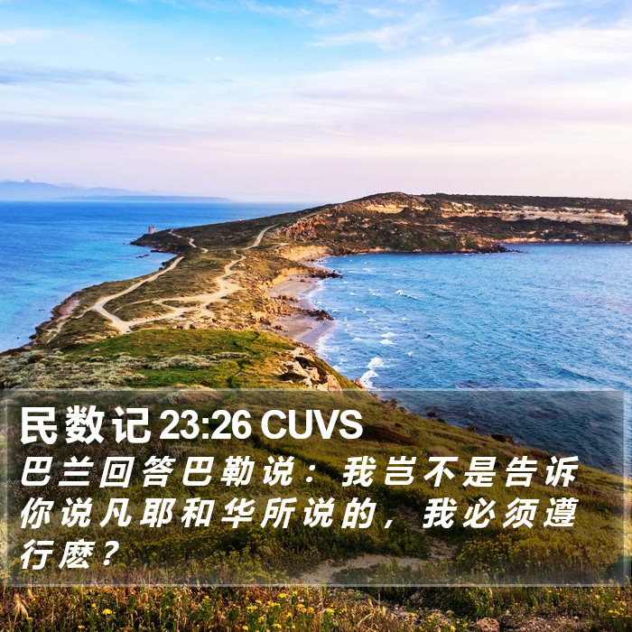 民 数 记 23:26 CUVS Bible Study