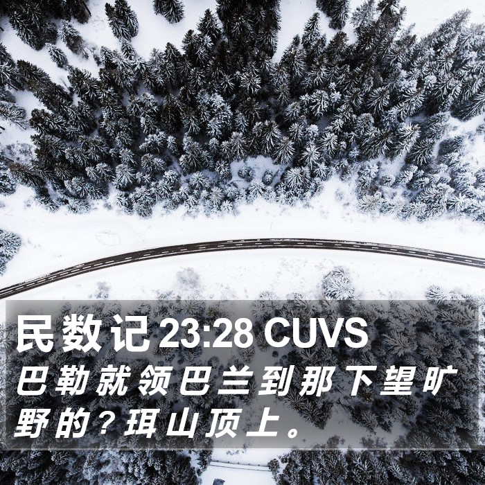 民 数 记 23:28 CUVS Bible Study