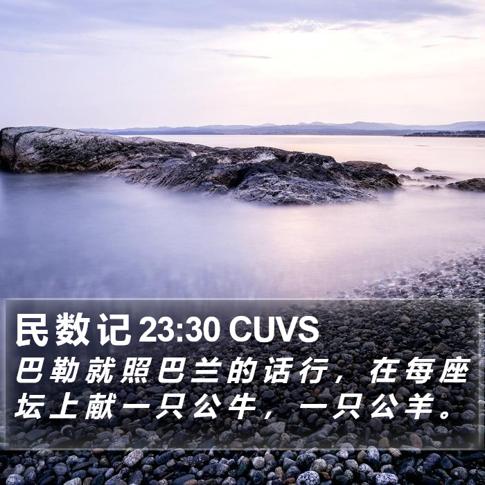 民 数 记 23:30 CUVS Bible Study
