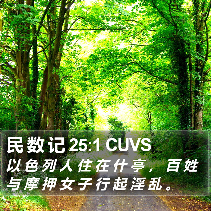 民 数 记 25:1 CUVS Bible Study
