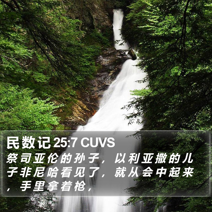 民 数 记 25:7 CUVS Bible Study