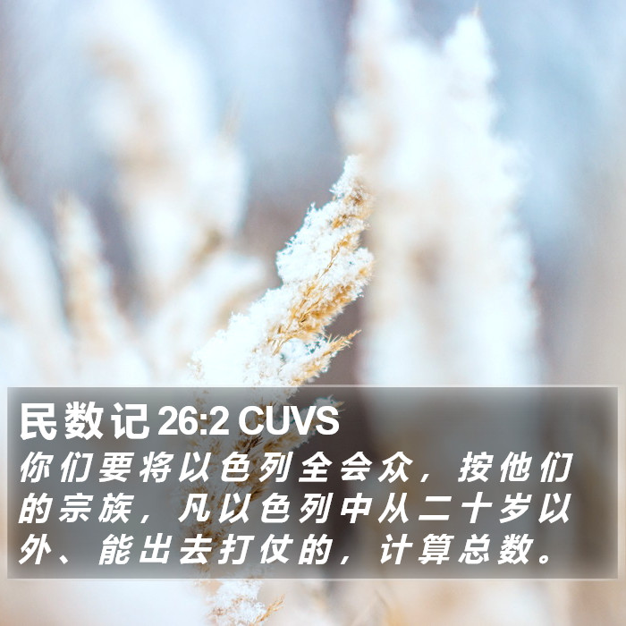 民 数 记 26:2 CUVS Bible Study