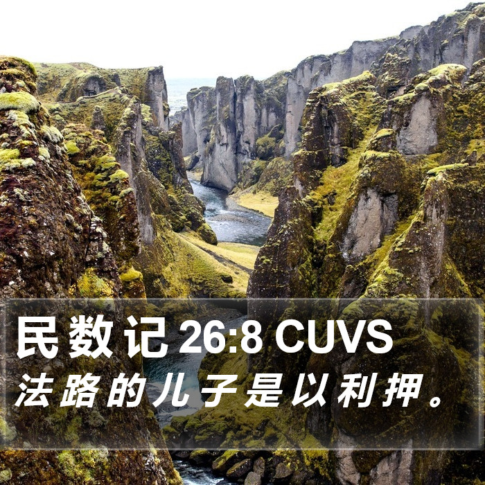 民 数 记 26:8 CUVS Bible Study